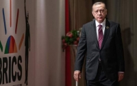 Эрдоган призвал членов БРИКС принять Турцию в свою группу