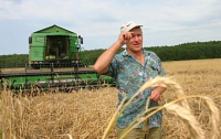 Аграрии обмолотили первый миллион гектаров