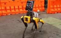 Робопес Spot компании Boston Dynamics начнет работать в больницах
