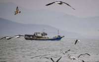 Россия освободила украинских рыбаков, захваченных в Азовском море
