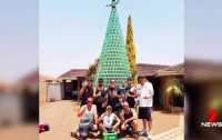 Австралиец создал гигантскую рождественскую елку из пивных банок