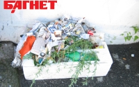 Киевские власти инициируют ужесточение штрафов за мусор 