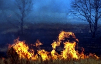 Россияне подожгли 392,3 га сибирских лесов 