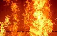 Новый пожар возник в Житомирской области