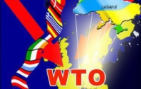 Украина еще не воспользовалась преимуществами от вступления в ВТО – эксперт