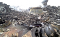 Департамент здравоохранения ДонОГА подтверждает гибель всех пассажиров Боинга «Малазийских авиалиний»