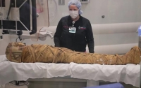 Американские ученые обнаружили рак у египетской мумии (ВИДЕО)