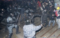 В разгоне Майдана виновата елка