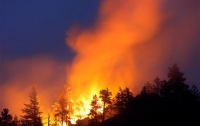 В Крыму объявлен самый высокий уровень пожарной опасности