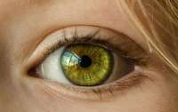 Ученые раскрыли способ определить коронавирус по глазам