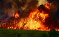 В России увеличивается площадь природных пожаров