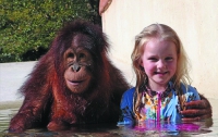 В США маленькая девочка сдружилась с орангутангом (ФОТО)