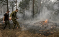 В Украине начинается сезон пожаров