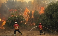 Пожары на юге Португалии оставили людей без воды