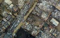 Из-за лесных пожаров в Чили погиб 51 человек (фото)