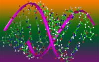 Ученые смогут редактировать ДНК