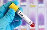 Эпидемия вируса Зика в Бразилии и Колумбии пошла на спад