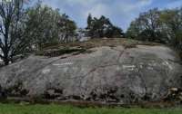 У Швеції виявили наскельні малюнки віком 2,7 тис. років (фото)