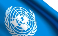 В Крым пустят делегацию ООН