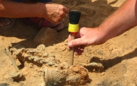 Британские археологи нашли скелет пирата на детской площадке