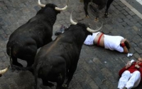 В Испании во время забега быки затоптали 20 человек