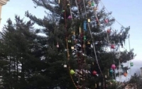 Жители украинского города высмеяли елку (фото)