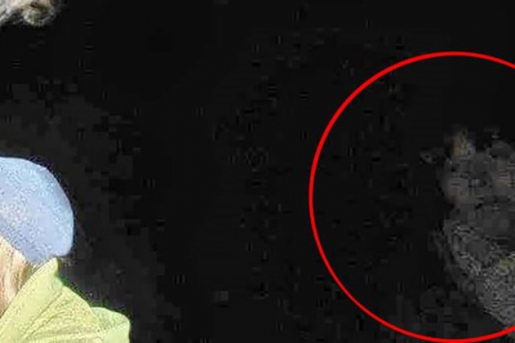 самые необъяснимые паранормальные явления. кладбищенский призрак мэри. моя бабушка призрак сериал. летний призрак. сфоткаться с призраком.