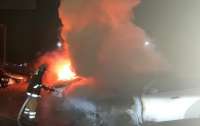 В Полтаве сожгли стоянку, сгорели шесть автомобилей (фото)