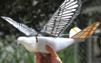 Китайские военные изготовили дронов–птиц