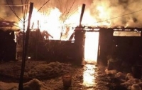 Масштабный пожар вспыхнул во львовском приюте для животных
