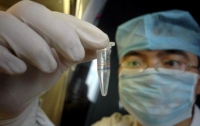 Планете угрожает новый смертоносный вирус родом из Китая