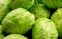 Молодая капуста: что приготовить и зачем
