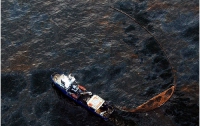 В Мексиканский залив вылилось около 5 миллионов баррелей нефти