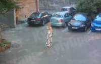 Неадекватная жительница Киева пыталась устроить пожар на парковке (видео)