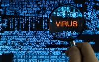 Китайский вирус заразил более 250 миллионов компьютеров