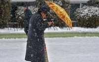 Пенсионерка жестоко избила школьника зонтом
