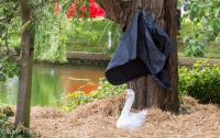 Жители британской деревне открыли памятник гусю, которого убили одичавшие утки
