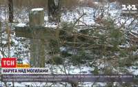 Могилы на сельском кладбище разрушили, они мешали вырубке деревьев