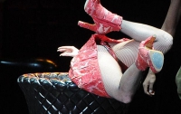 Во время концерта Леди Гага с головой запрыгнула в мясорубку (ФОТО)