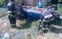 В Кировоградской области машина во время движения упала с моста