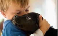 Собаки в доме уберегут детей от ожирения