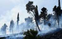 Еще две страны охватили лесные пожары
