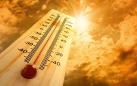 Самая жаркая погода за последние 130 лет установлена в Киеве