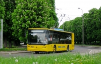 В Черновцах утром остановились троллейбусы 