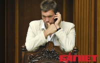 Украинский парламент превратился в позорище, - Царев