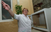 Окном для матерей-кукушек заинтересовалась киевская прокуратура