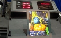 Создан первый дисплей на основе технологий OLED и E-Inc