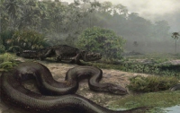 Найдены останки гигантской доисторической змеи
