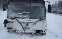 Женщина, пассажир BMW, столкнувшегося с автобусом, умерла