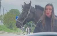 Женщина и ее конь испугались водителя на дороге Киева